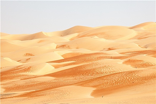 荒漠景观,阿布扎比,阿联酋