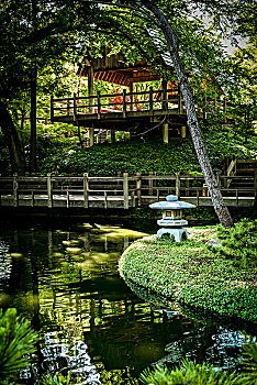 沃斯堡,沃斯堡植物园,日本花园,japanese,garden,fort,worth,botanic