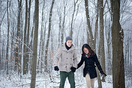 年轻,情侣,走,牵手,雪中,遮盖,树林,安大略省,加拿大