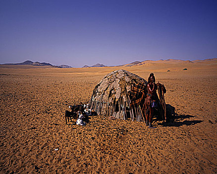头像,辛巴族妇女,站立,靠近,小屋,山羊,纳米比亚,非洲
