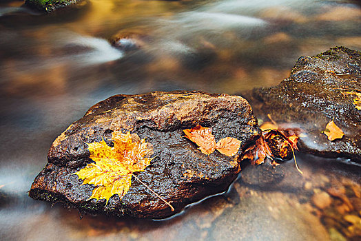河,秋天,波希米亚风格,瑞士,石头,长时间曝光,捷克共和国
