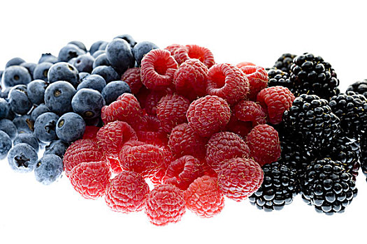 浆果,蓝莓,树莓,黑莓,序列,食物,留白,不同,种类,三个,水果,新鲜,果味,健康,营养,富含维生素,维生素,丰收