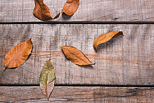 落叶,木板,背景素材