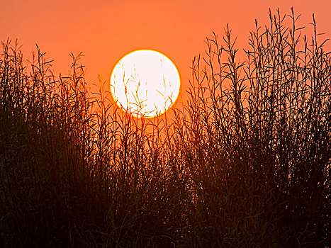 宁夏哈巴湖