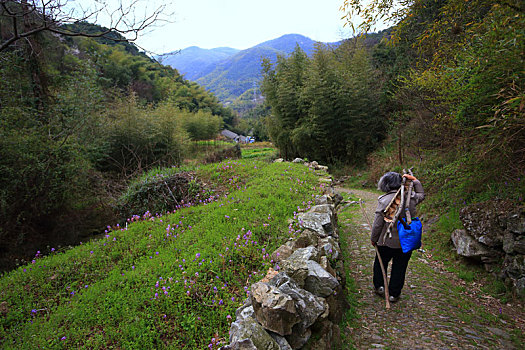 鄞州,塘溪镇,塘溪,黄泥岭古道,古道,阳光,山路,山林