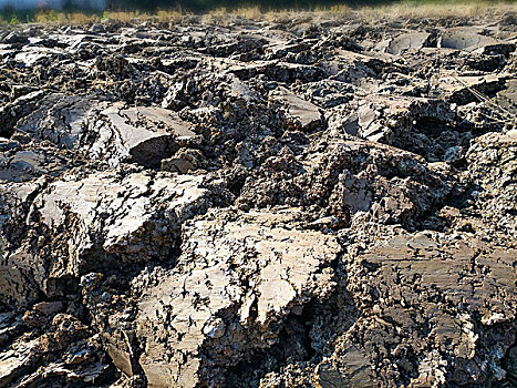 沃土图片_沃土图片大全_沃土图片素材