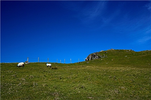 爱尔兰,康纳玛拉,岛屿