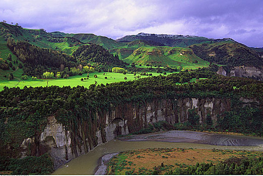 草场,峡谷,新西兰