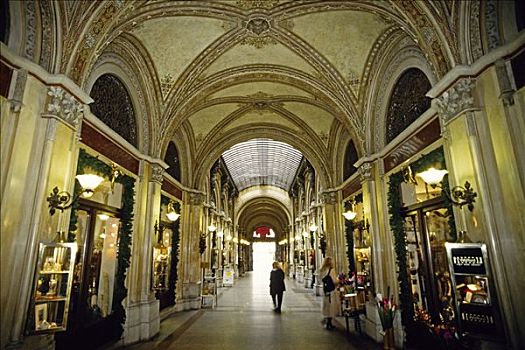 购物,拱廊,维也纳,奥地利,欧洲