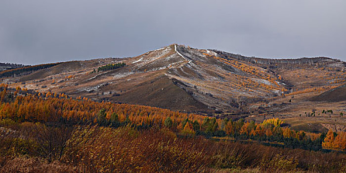 阿尔山雪景