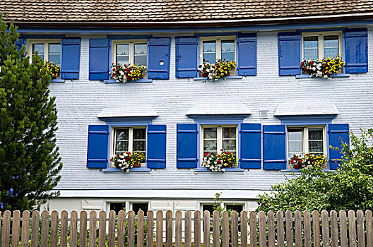 房子,建筑,百叶窗,花,安放,阿彭策尔,区域,瑞士,欧洲