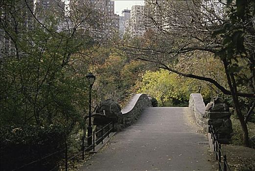桥,中央公园,纽约,美国