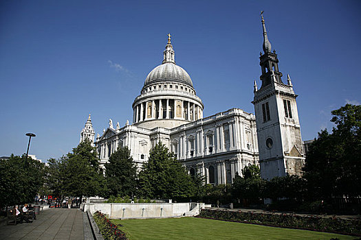 树,正面,大教堂,圣保罗大教堂,伦敦,英格兰