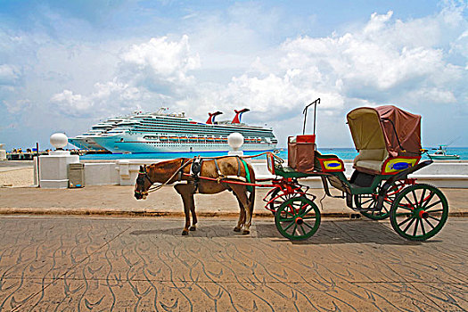游轮,船,码头,狂欢,科苏梅尔,墨西哥,加勒比