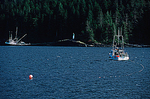 约翰斯顿海峡,三文鱼,后面,温哥华岛,不列颠哥伦比亚省,加拿大