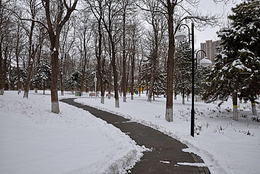 河北省石家庄市公园雪景