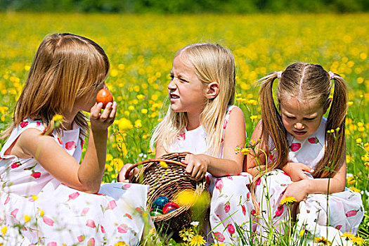 孩子,复活节彩蛋,猎捕,草地,春天
