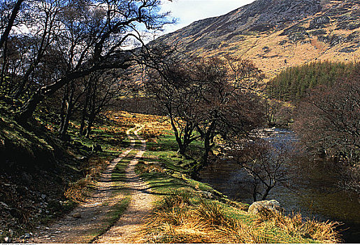 土路,河流,风景,苏格兰