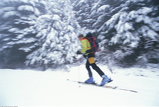 男人,越野滑雪