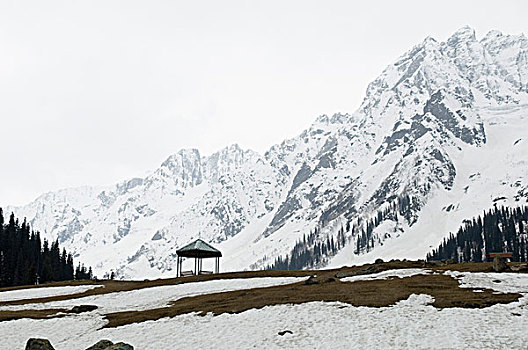 蔽护,积雪,风景,冰河,查谟-克什米尔邦,印度