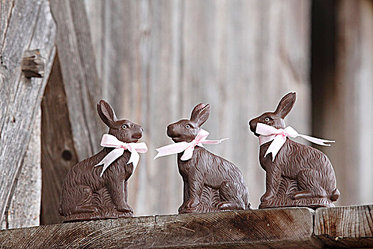 三个,巧克力,兔子,粉色,带