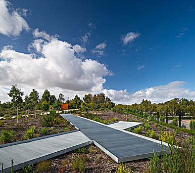 木板路,皇家植物园,澳大利亚