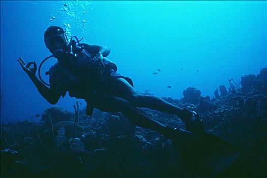 潜水,风景,高处,珊瑚礁,蓝色,水,牙买加