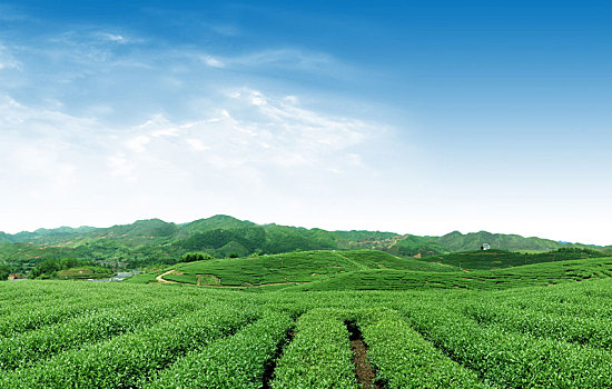 草原,草地,草坪,绿地,绿草,地面,环境,背景,汽车修图,汽车背景,绿植,天空