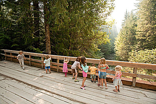 一群孩子,站立,木桥,树林