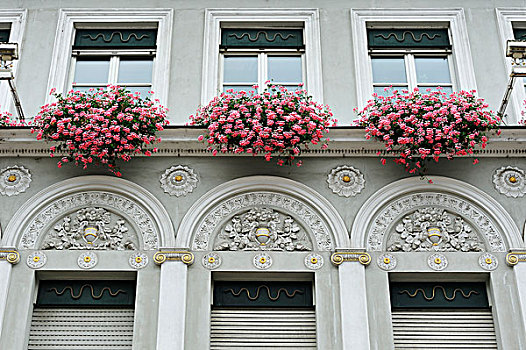 新古典,建筑,天竺葵,莱茵兰普法尔茨州,德国,欧洲