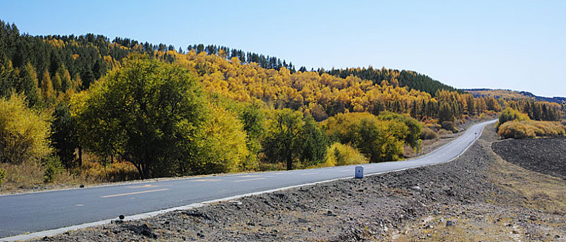 道路