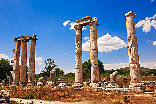 寺庙,阿芙罗狄蒂,阿芙洛蒂西亚斯,遗迹,省,土耳其,亚洲