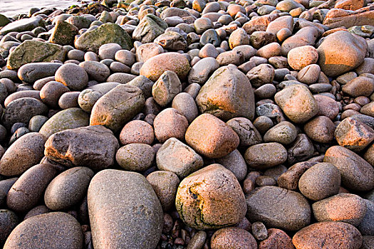 早晨,鹅卵石,海滩,小湾,阿卡迪亚国家公园