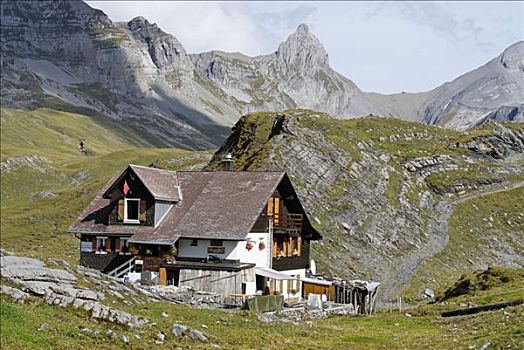 山,餐馆,正面,靠近,山谷,施维茨,瑞士