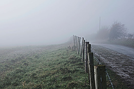 栅栏,路边,乡村,雾气,英国