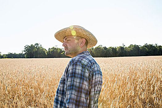 男人,戴着,格子衬衫,帽子,站立,玉米田,农民