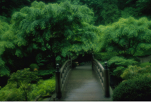 步行桥,日式庭园,波特兰,俄勒冈,美国
