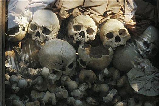 柬埔寨,收获,内战,屠杀场,纪念,头骨,玻璃,展示