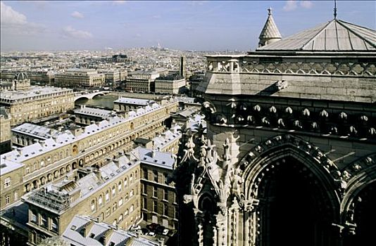 法国,巴黎,圣母大教堂,俯视