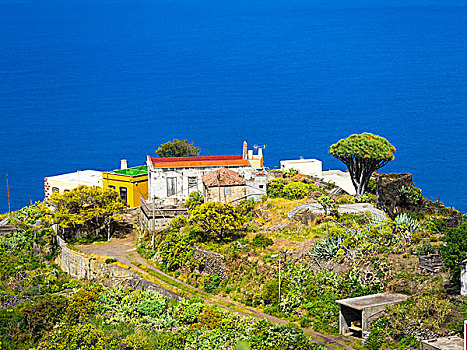 悬崖,彩色,房子,哥斯达黎加,帕尔玛,加纳利群岛,西班牙,欧洲