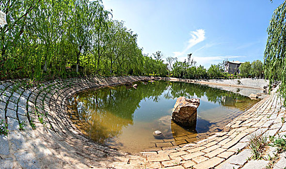 柳树映衬的人工石湖池塘