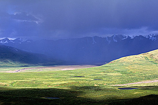 美国,阿拉斯加,德纳里峰国家公园,多彩,区域,积雨云