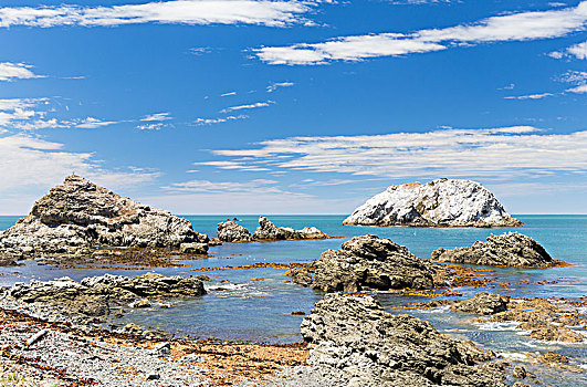 岩石海岸,风景,岛屿,坎特伯雷地区,新西兰,大洋洲