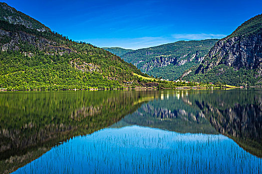 风景,湖,霍达兰,挪威