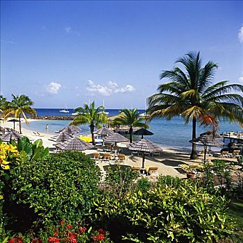 酒店,海滩,马提尼克岛