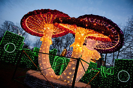 冬天,光亮,蘑菇,装饰,公园,华沙,季节,魅力,旅游,波兰,十二月,晚间,彩色,无人