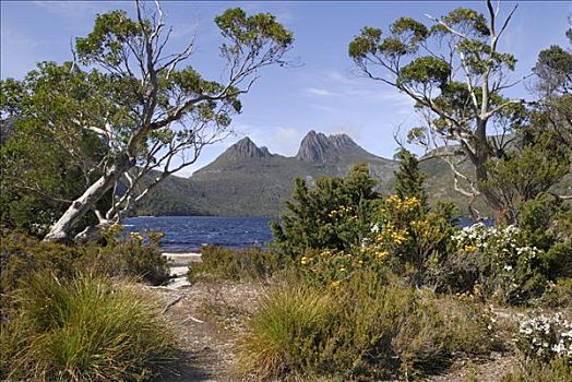 摇篮山,鸽子,湖,国家公园,塔斯马尼亚,澳大利亚