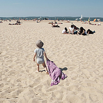 婴儿,走,海滩,拉拽,毯子,后面