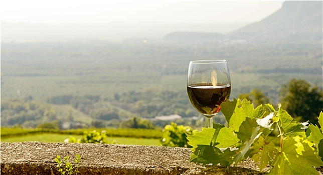 红酒杯,葡萄园,背景