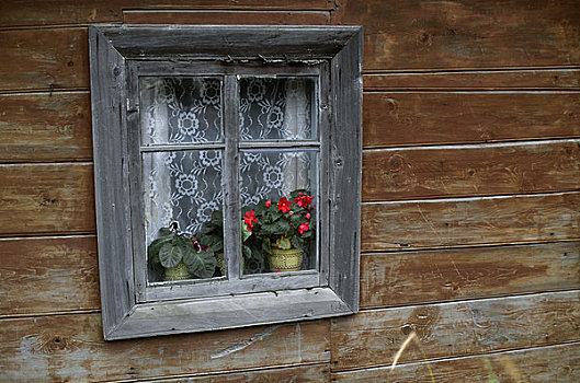 俄罗斯,窗户,老,木屋